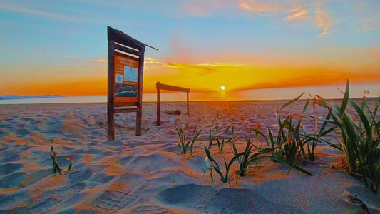 Spiaggia di Feraxi
