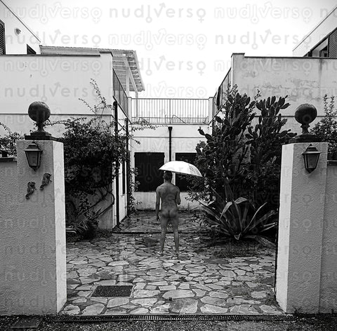 NOVEMBRE