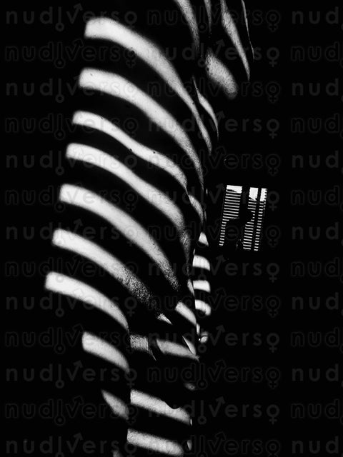 LUCI E OMBRE